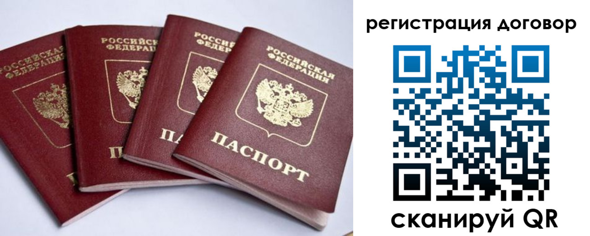 прописка поиск в Краснозаводске